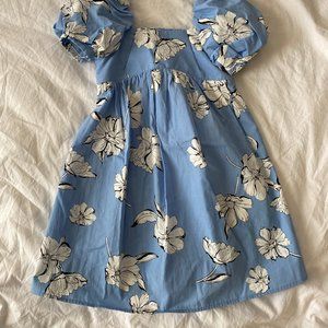 Zara Kids Spring Dress - Size 4T/5T - Worn once!
